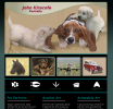 Pet portraits - aviation art - automobile art