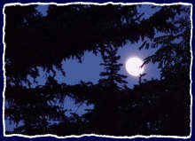 A full moon over Northern Arizona University