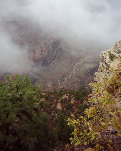 "Canyon Colours"