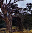 An area just South of Sedona, near Dylan's house -- cool rustic scene.