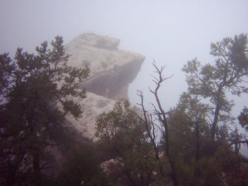 An foggy view of the Grand Canyon