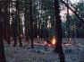 The worlds largest Ponderosa Pine forest with a few controled fires