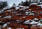 A cool abstract view of the red rocks of Sedona - in the snow.  Cool contrast.